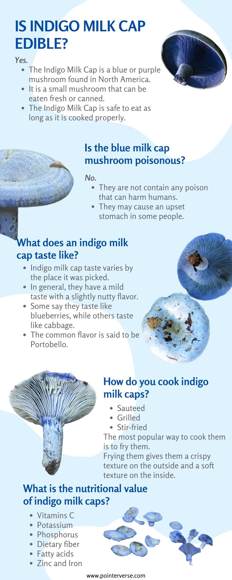 indigo milk cap health benefits