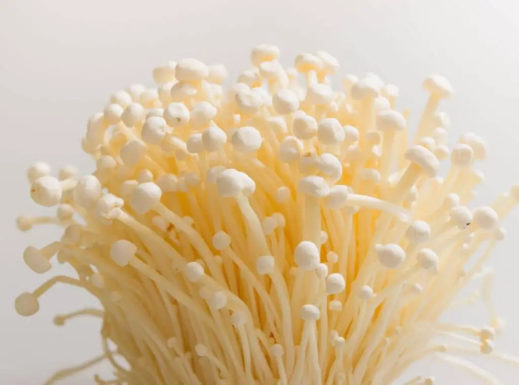 What Do Mushroom Pins Look Like