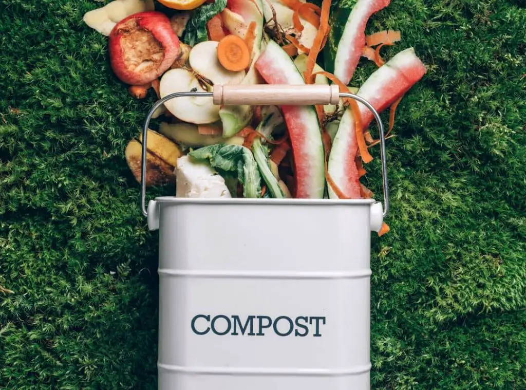 Can I Compost In A Metal Bin 