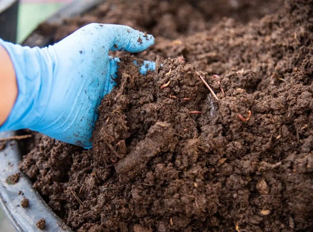 Should You Cover Compost With Plastic