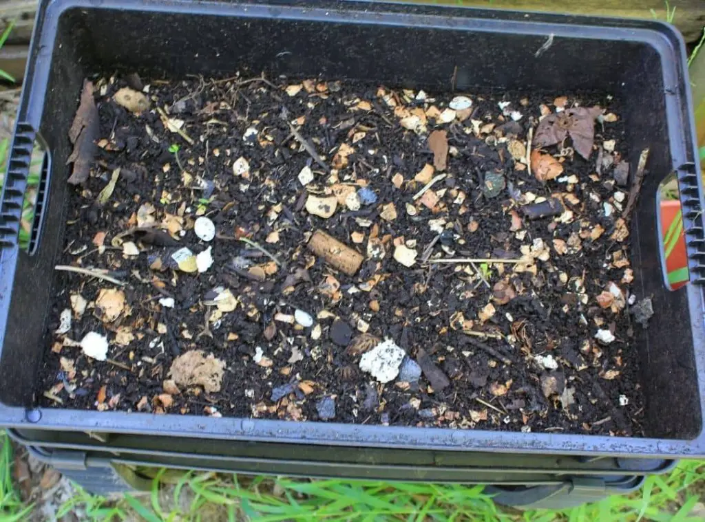 Outdoor Worm Composting