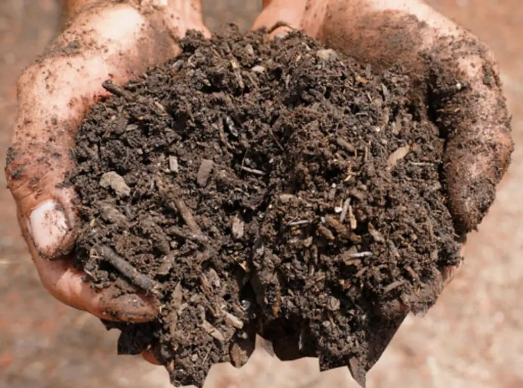 Is Horse Manure Good For Clay Soil